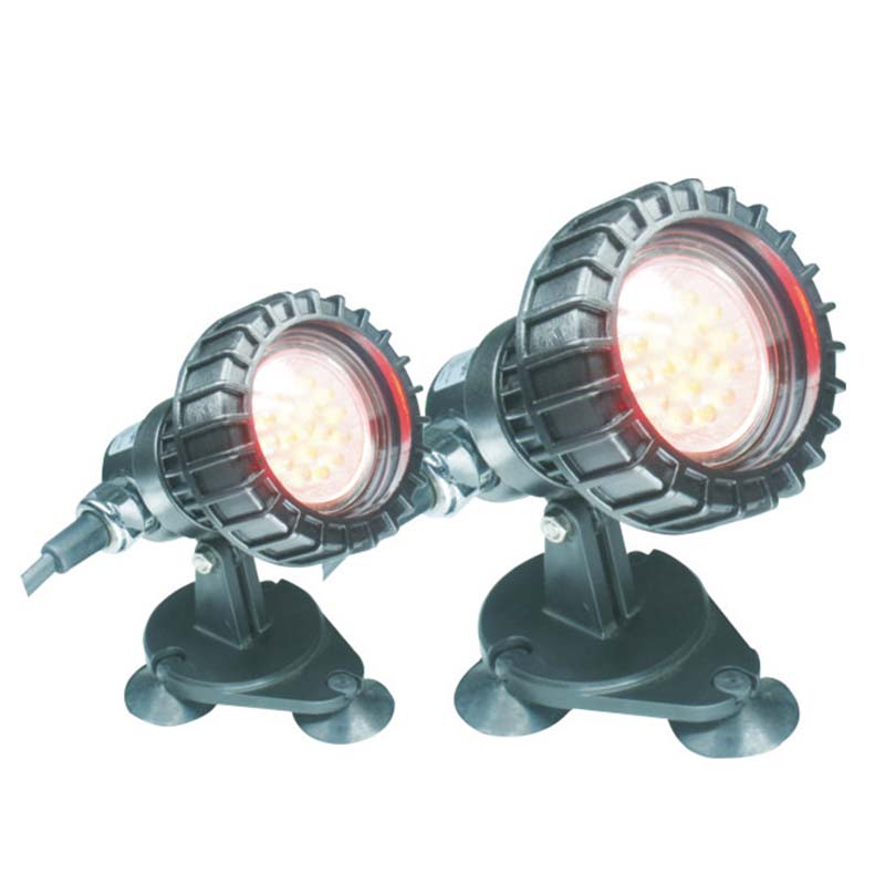 Риба над землею ставок занурювальний світло